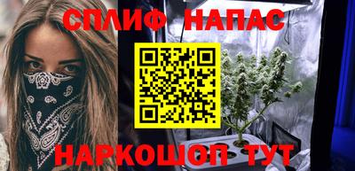 spice Камышлов