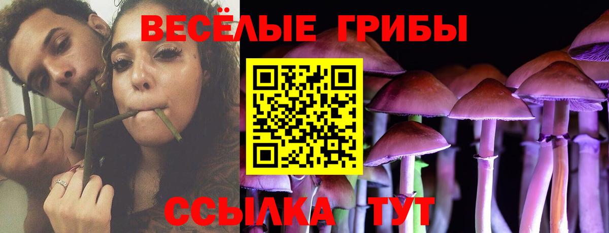 Псилоцибиновые грибы прущие грибы Ливны
